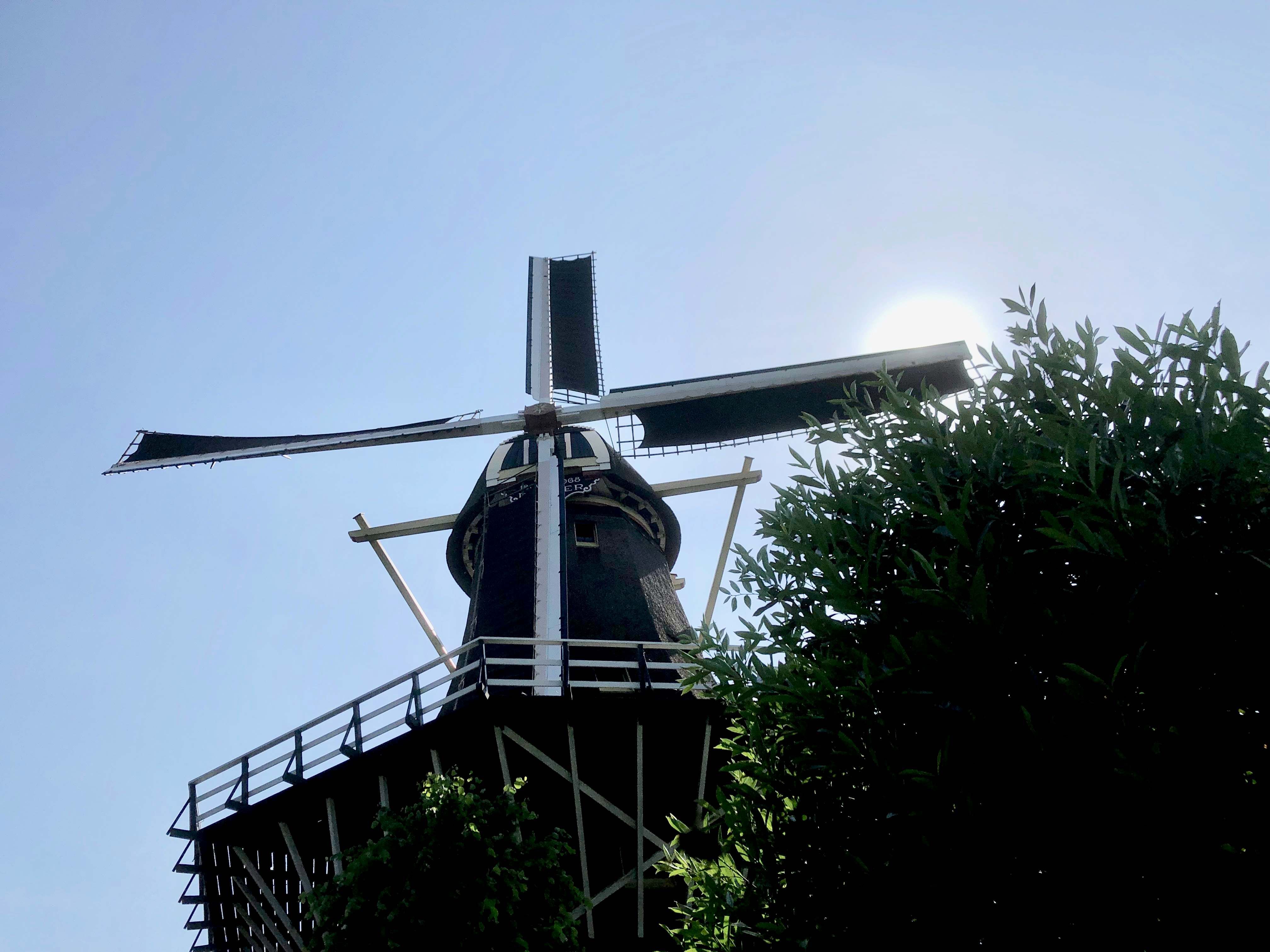Zeilen09